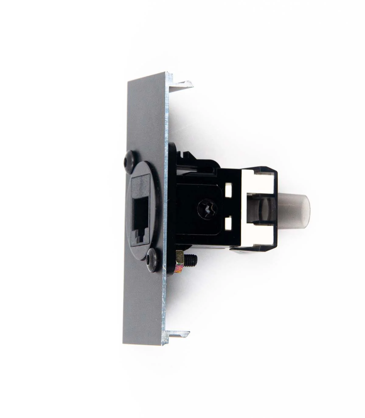 Line8 CAT6 Data Faceplate /w Cat6 Connector (Feed-thru/Punch) | ⓿❽❻❽❺⓿❺⓿❺❺ | khuetu.vn