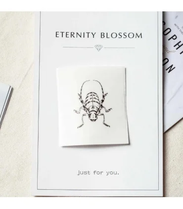 Giấy nhiệt màu trắng cho T02, độ bền 10 năm, 53mm x 6.5m, KT-RM10 chính hãng AIMO | ⓿❽❻❽❺⓿❺⓿❺❺ | Nhãn in, tem in, giấy in, bă...